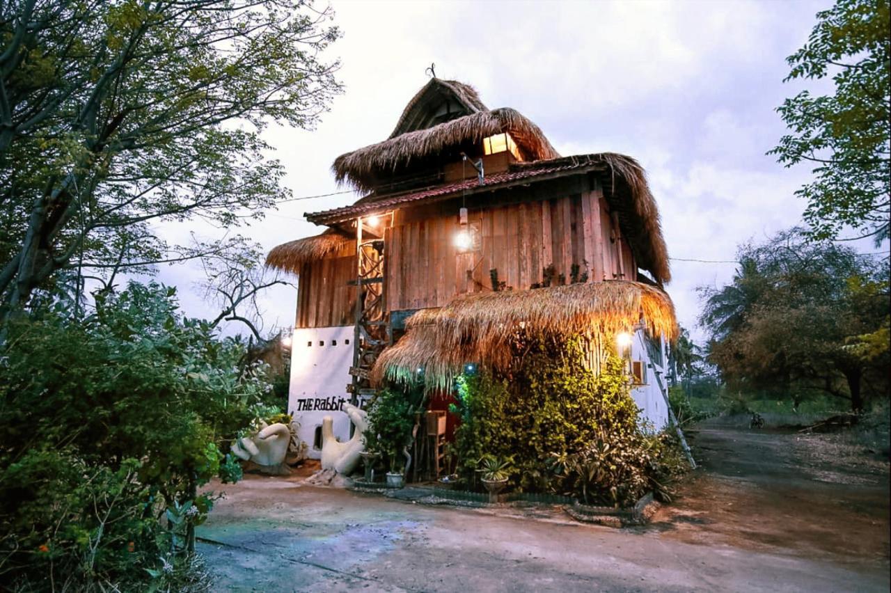 The Rabbit Tree Hostel Gili Meno Exterior photo