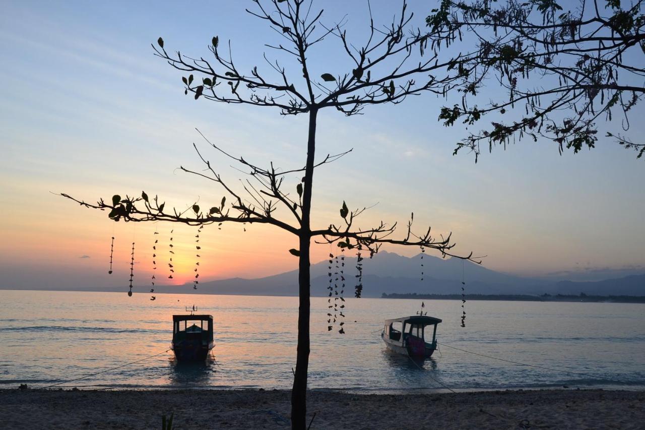 The Rabbit Tree Hostel Gili Meno Exterior photo